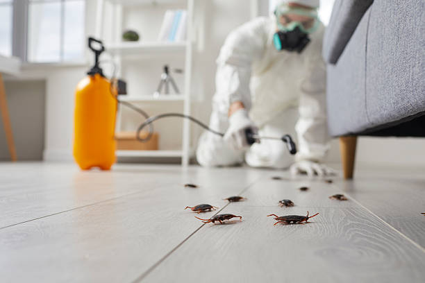 Trusted Bed Bug Control service in Glenn Dale, MD - Nex Pest Control
